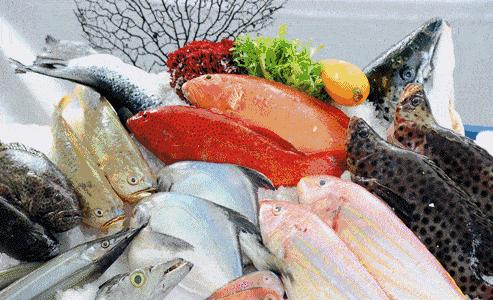 过年期间怎么吃都不胖的秘诀,过年怎么吃才不长胖记住这4招