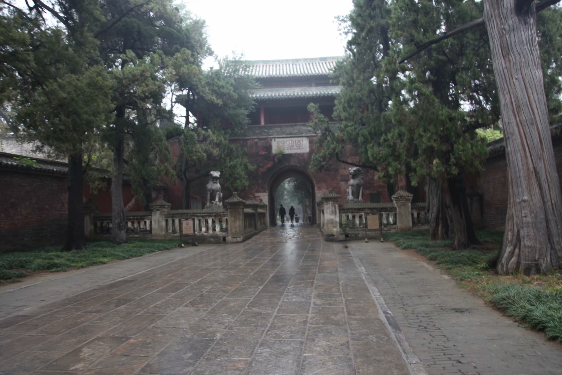 三孔在多少年被收入世界遗产名录,中国世界文化遗产三孔面积