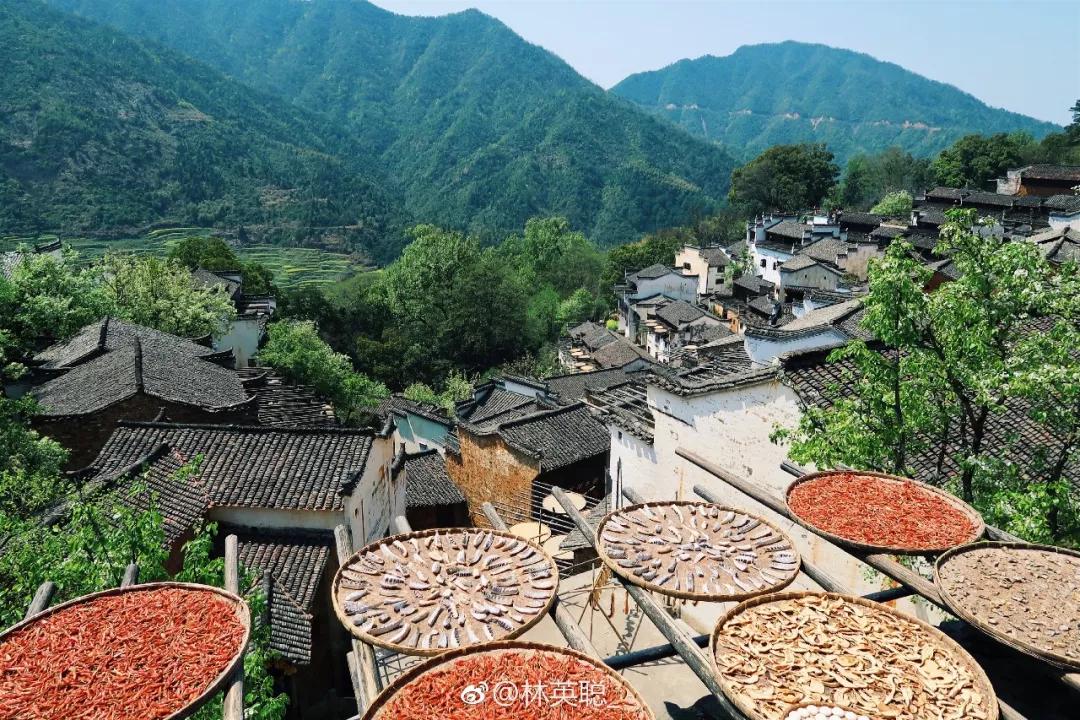 婺源油菜花一日游旅游攻略,婺源油菜花旅游攻略