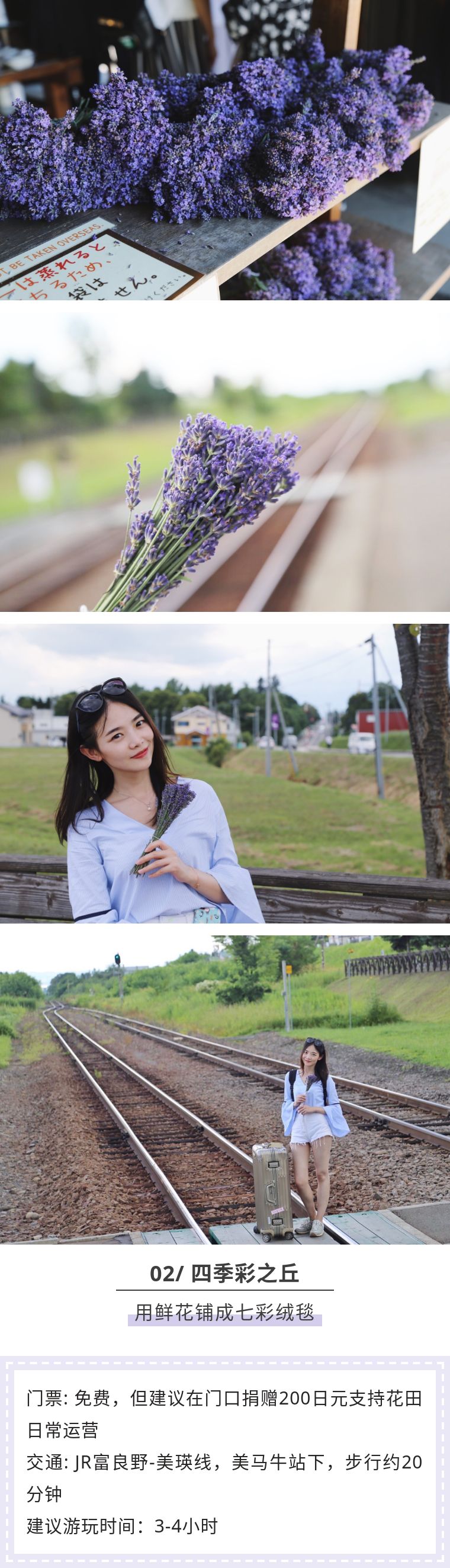 北海道七月的样子,北海道7月