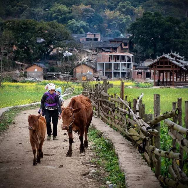 十大最好的自驾游地方,最适合自驾游的十个地方