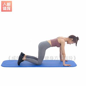 怎么练肱二头肌还不会粗小臂,如何练大小臂肱肌