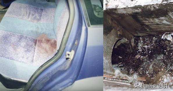 女子跆拳道实战被暴揍,女子跆拳道失误死亡事件集锦