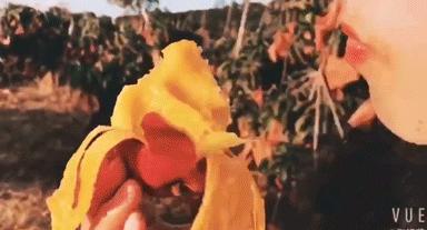 爆甜贵妃芒海南三亚,少吃点饭给榴莲留点空间