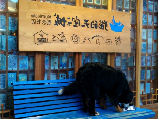 武汉最美图书馆打卡,武汉最美十大书店