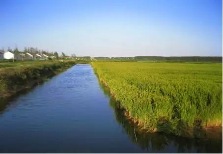 如何养殖小龙虾才能把利润最大化,养殖小龙虾的前景和现状