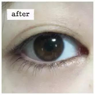 kate全线测评,kate新旧版本测评