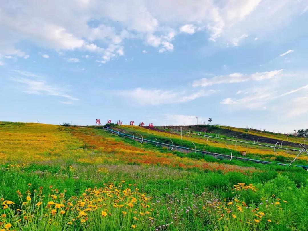 comeonbaby翻译,comeonbaby歌曲女声