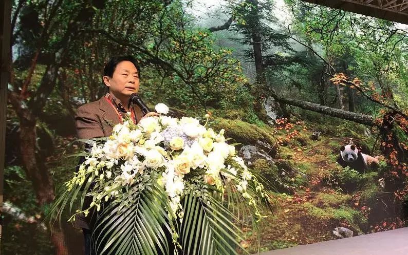 天府书展｜萌宝来袭！传播熊猫文化，《双宝150》图书正式发布