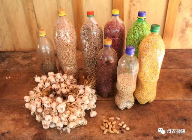 中国年年进口的大豆，为何让巴拉圭从富饶变得死寂？