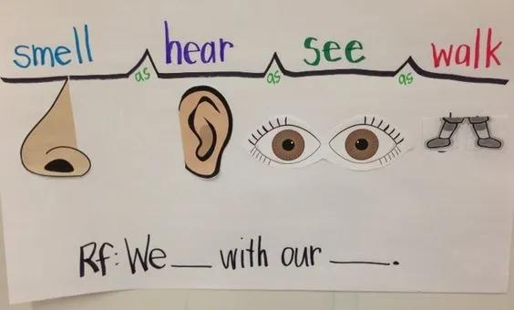 小学数学学霸思维导图五年级上册,学霸三年级下册数学思维导图