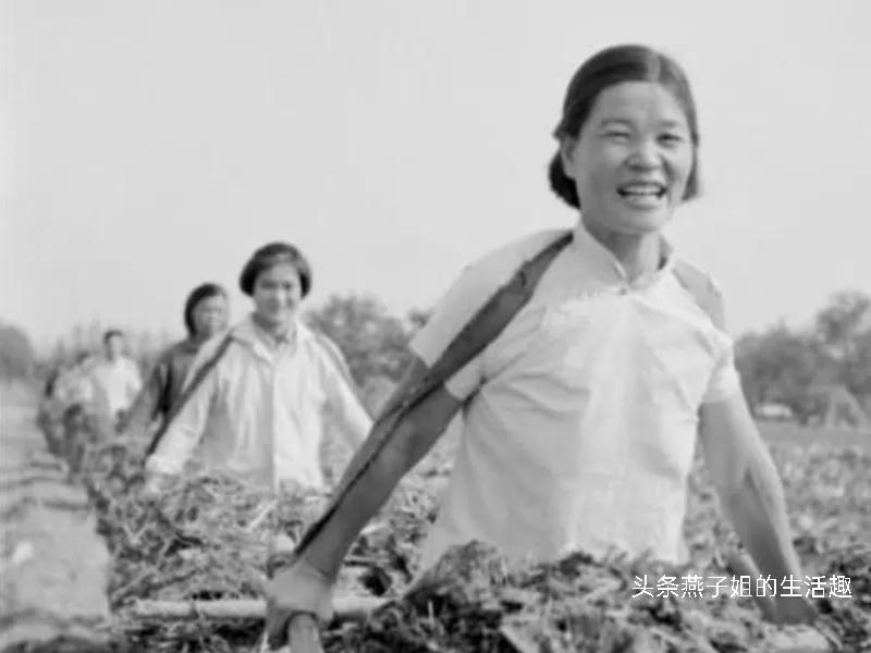 身为70后的我们已经老了,身为70后的我真的老了吗