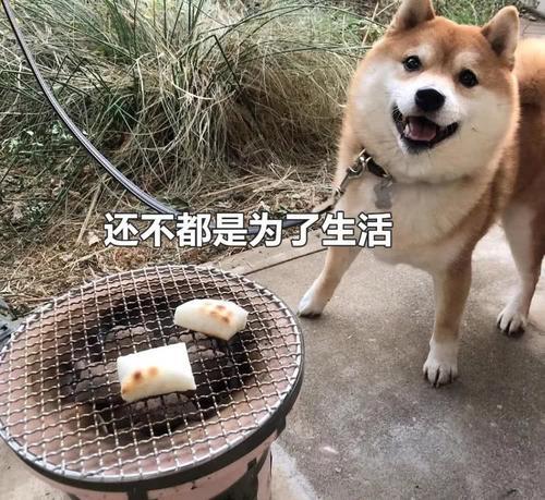 游戏建模怎么学习美术基础,游戏建模怎么学最好找工作