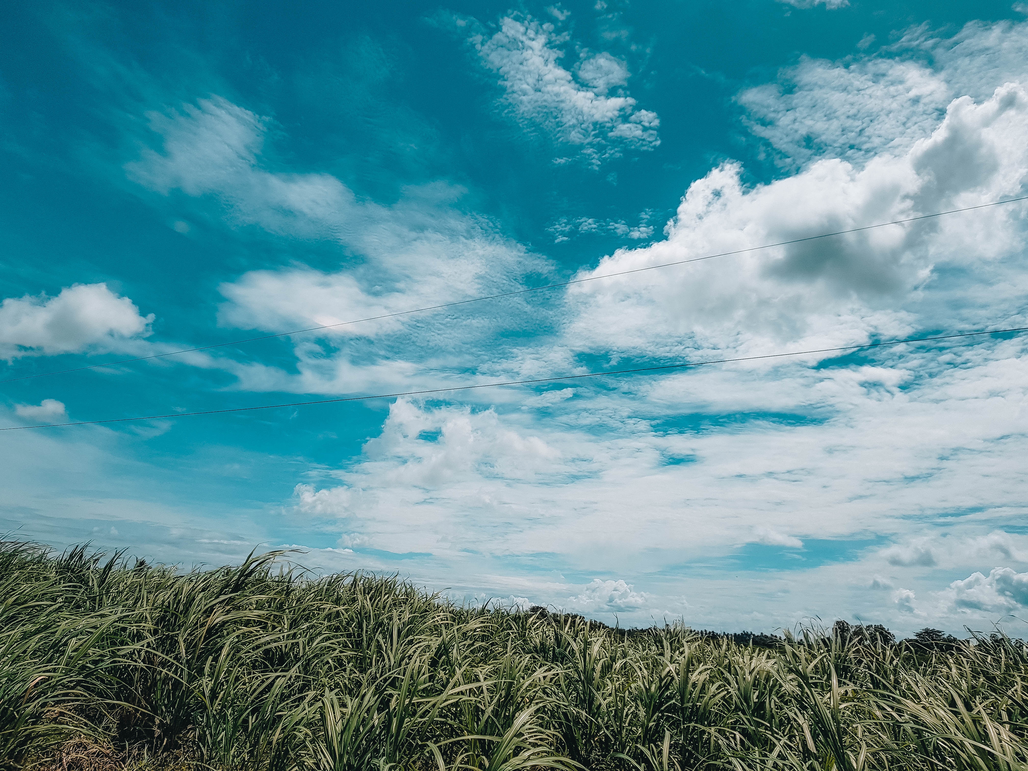 三大支柱产业排名,三大行业支柱