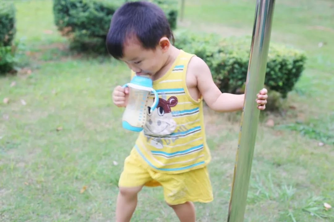 宝宝有机口粮推荐,回购奶粉口粮文案