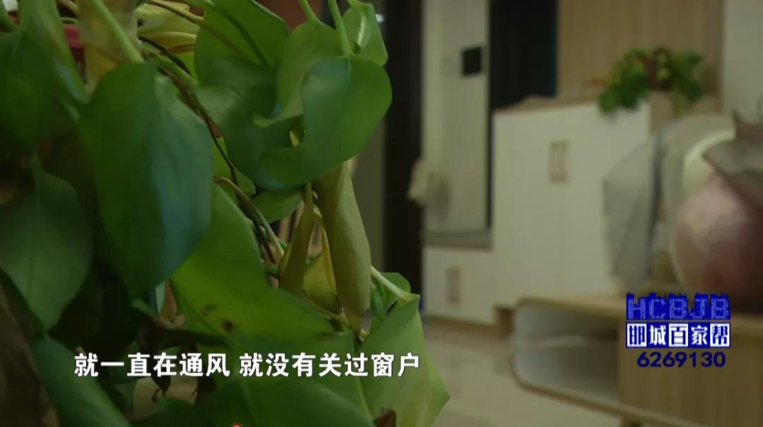 家具质量出现哪些问题可以退货,家具买了快一年了还有味道很重