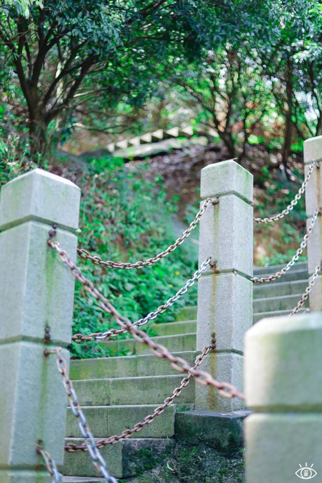 深圳宝藏公园风景图片,深圳宝藏自然游乐区