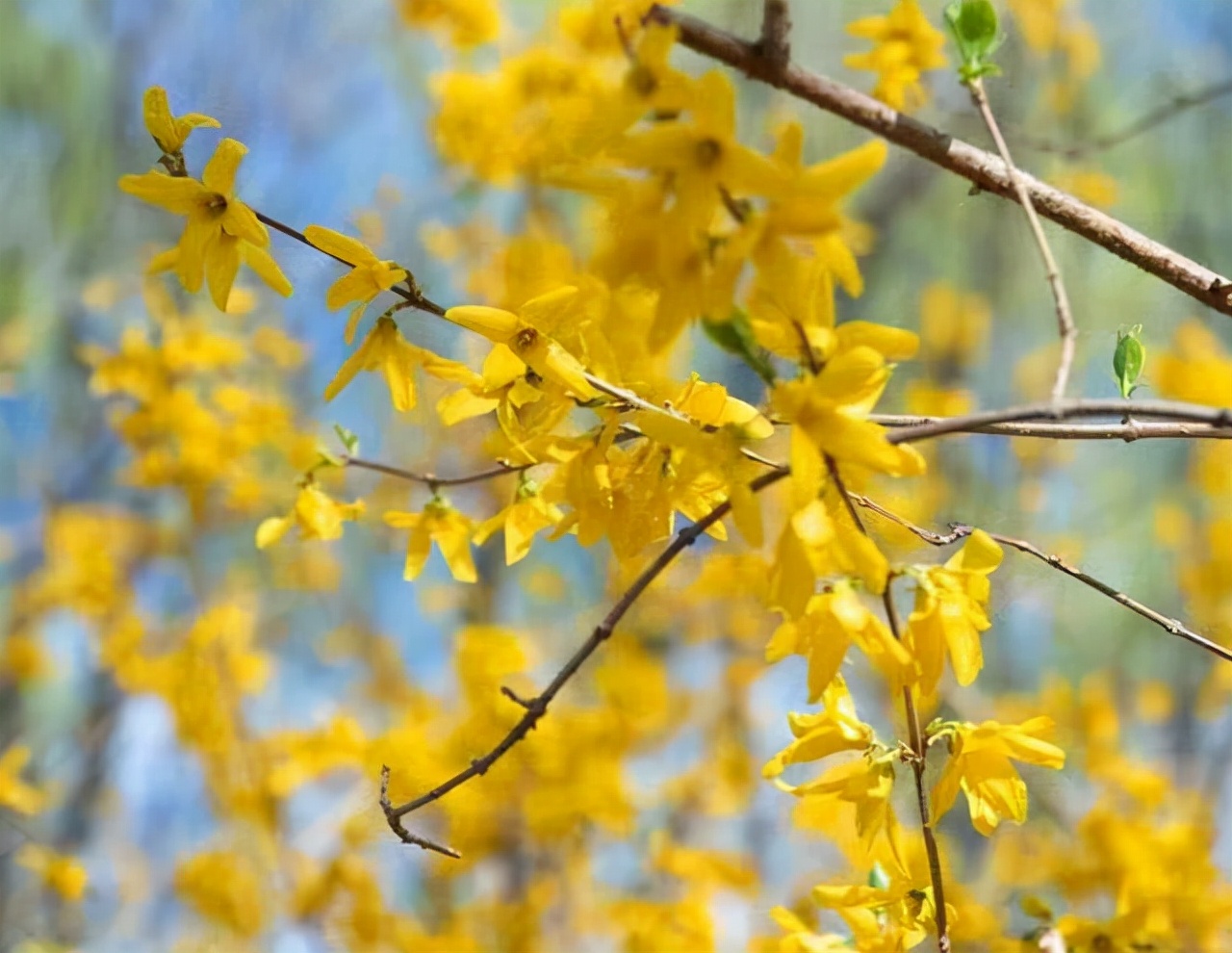 又一年浅秋，又一次想起了你：亲爱的，别来无恙？