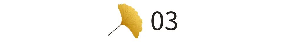长途私家司机在高速上群发微信接客、语音闲聊,你遇到会怎么做?