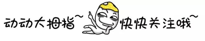 中国人在外媒的眼里记忆力跟鱼一样……