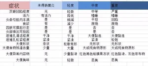 龟得了肠胃炎能自愈吗,龟是肺炎还是肠胃炎