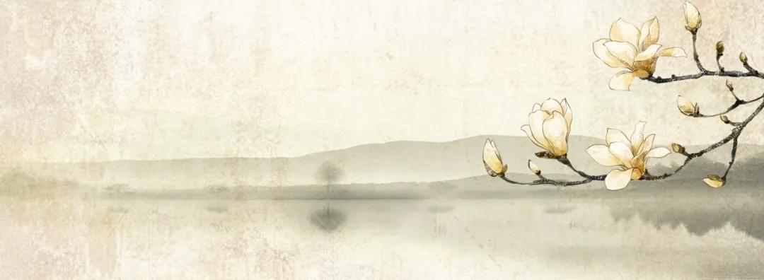 世事如书我偏爱的句子,世事如书我偏爱完整版