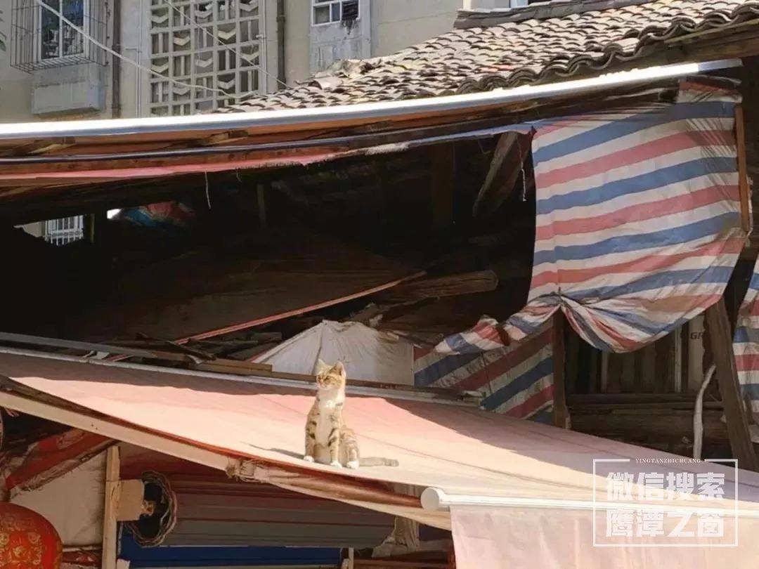 鹰潭交通街还有吗,鹰潭交通街