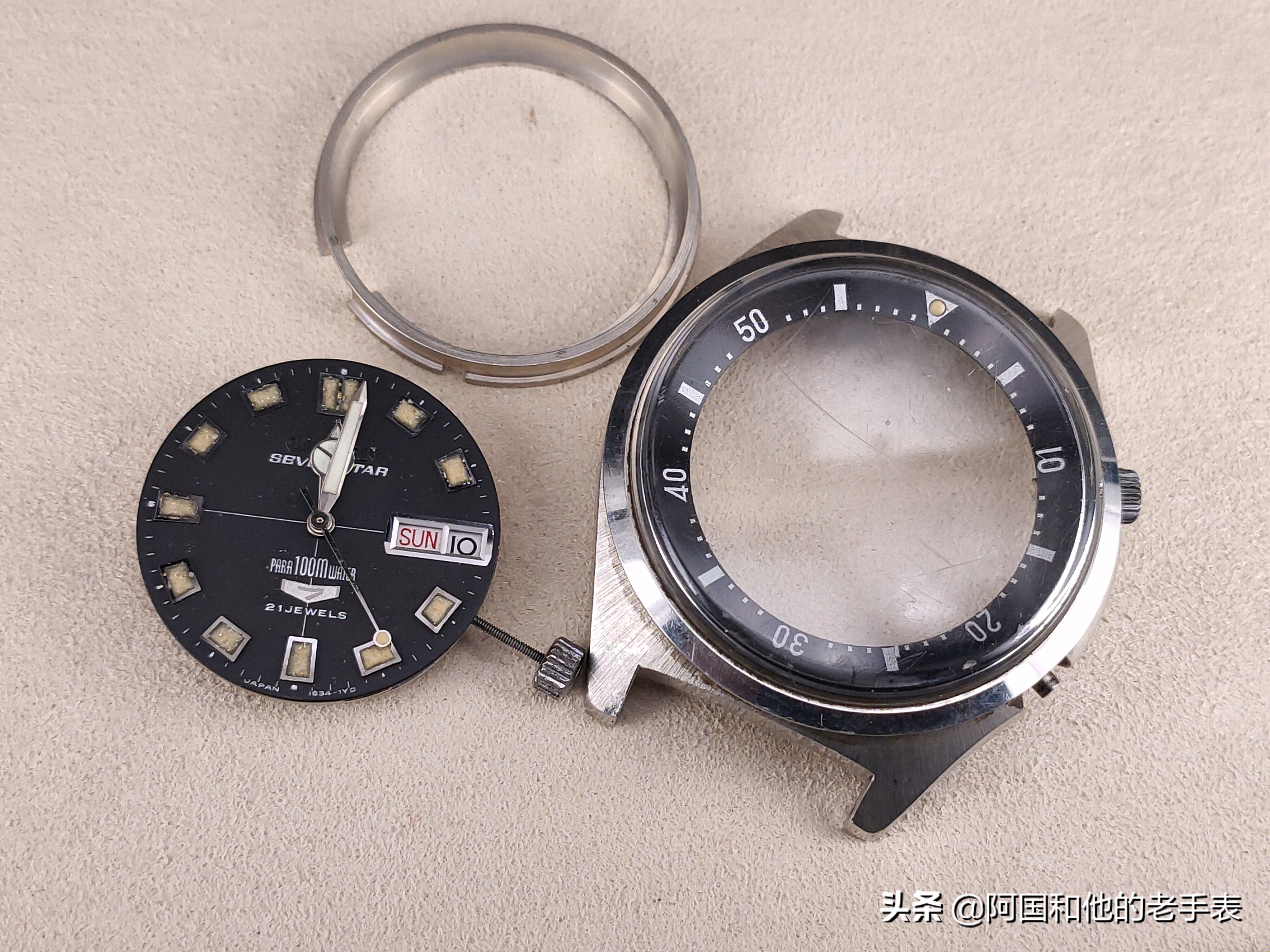 50年后的相见两只西铁城水鬼