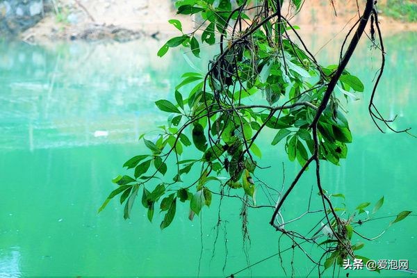 从化瀑布景点,从化可以看瀑布的地方
