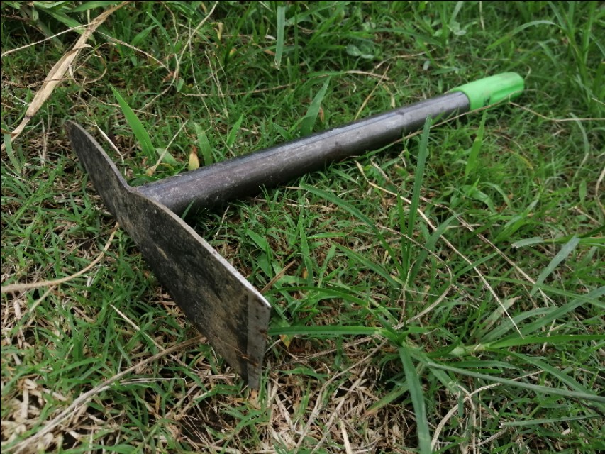 漫漫踢球路:疫情后的草根足球艰难前行“续”