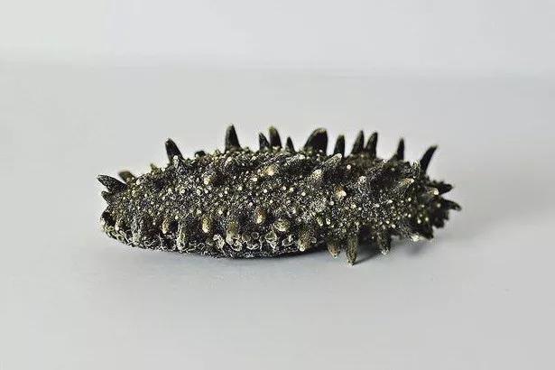 海参辽参刺参哪种参最好,海参刺参跟红参的区别