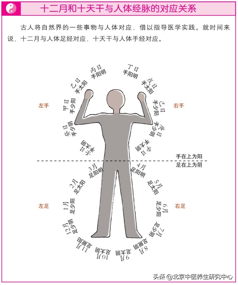 十天干对应十二地支十神表,十天干与十二时辰的配法