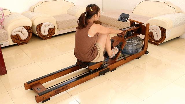 野小兽划船机真的好吗,野小兽划船机买哪一款