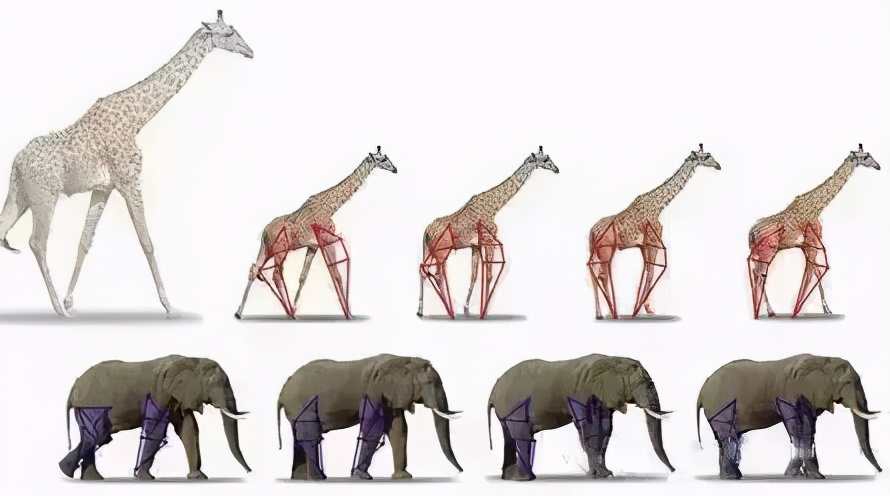 涓変簹娌欐哗閬涘▋,娌欐哗鏁ｆ娉宠