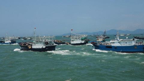 广东开海吃海鲜攻略,开海吃海鲜攻略