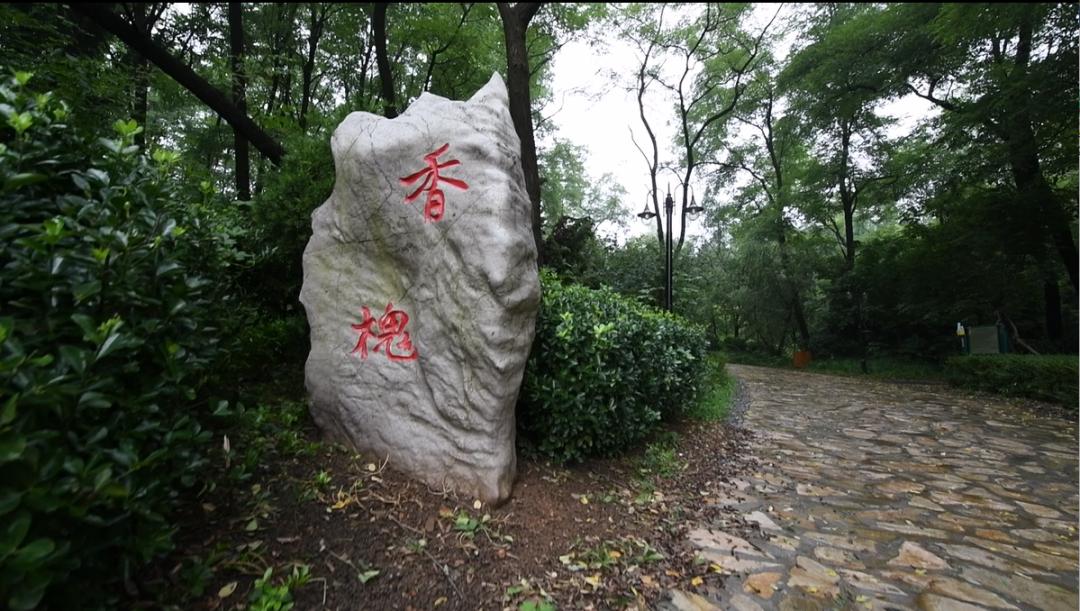 中科院大连化物所固态锂硫电池,中科院大连化物所材料与化工