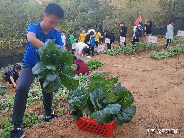 国学有必要学吗,小孩学国学应该先学什么