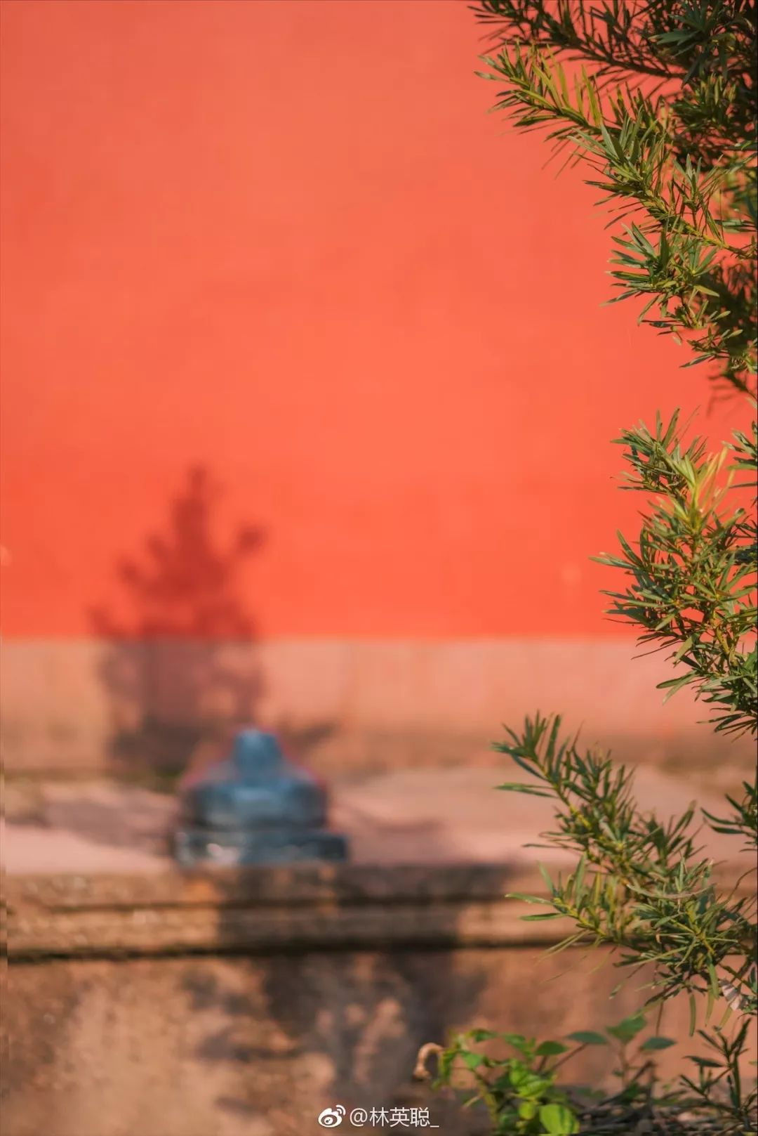 婺源油菜花一日游旅游攻略,婺源油菜花旅游攻略