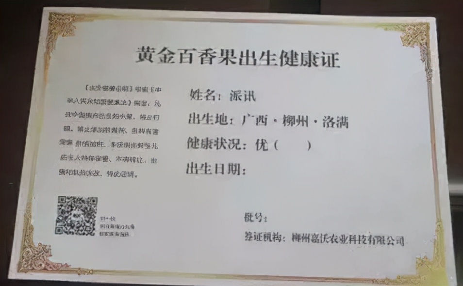 1688年销售额突破千万怎么报税,半年销售额破10亿如何做到的