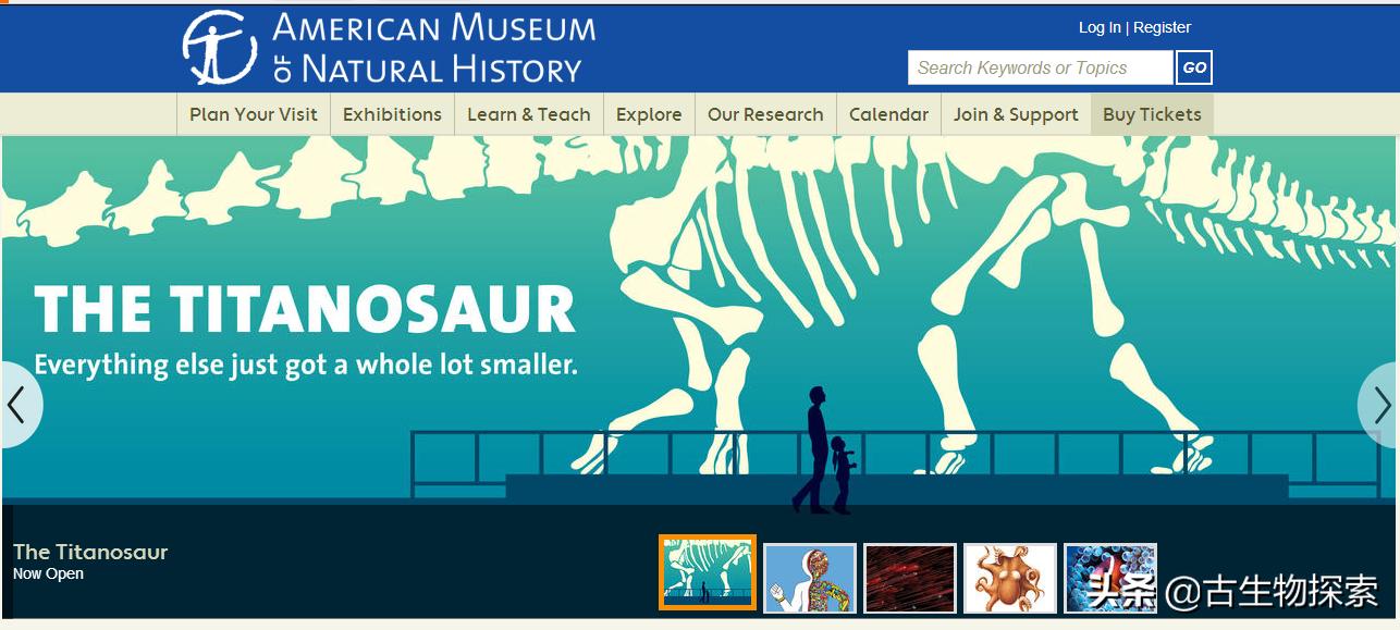 泰坦龙是最大的恐龙吗,世界上最高的恐龙是泰坦巨龙吗