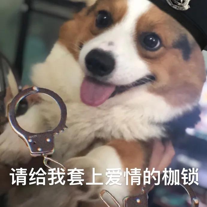 3个高级又实用的七夕礼物,甜甜甜哭了