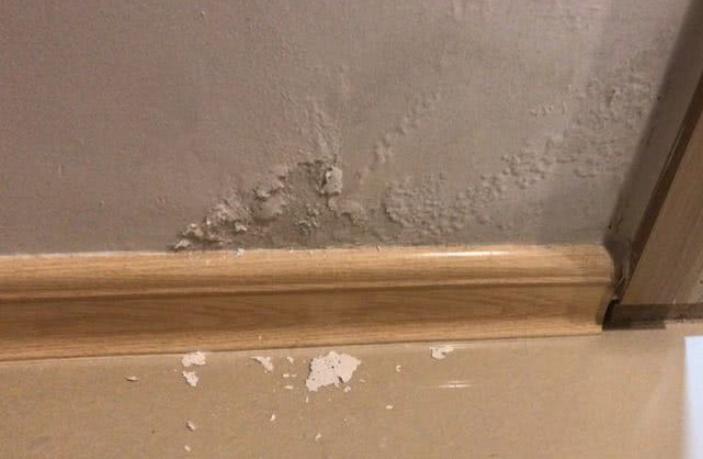 新房装修完墙面冒水怎么办,新装修房子墙面起碱怎么办