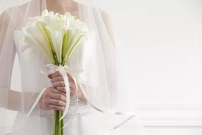 每日送花花语,花语大全送花的讲究