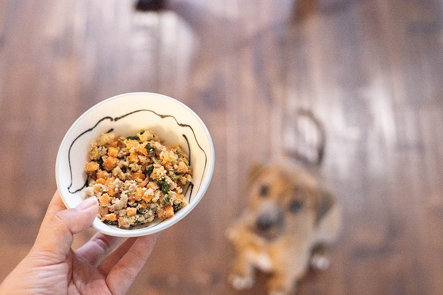 狗粮那么多怎么选比较好,狗粮品种太多怎么选