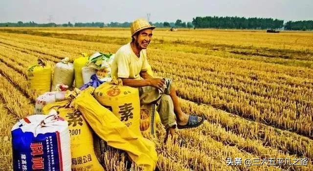 明年是寡妇年为什么有这个说法,明年寡妇年是一整年不宜嫁娶吗