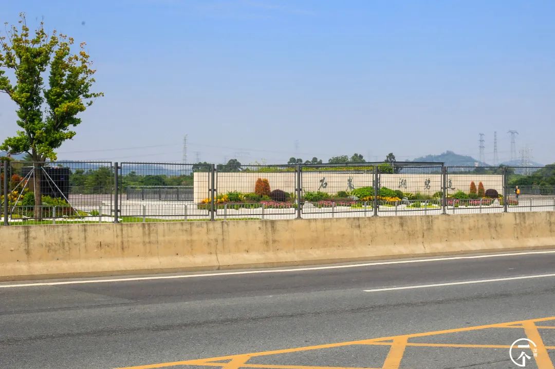 深圳“厂哥村”，女生可以百里挑一？