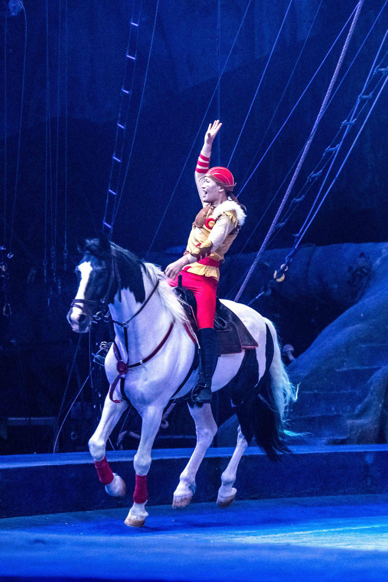 玩转广州长隆野生动物世界之行,广州长隆动物世界游玩攻略图