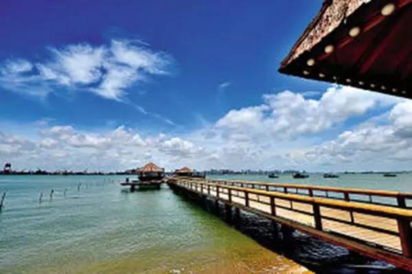 佛山顺德四小虎,四小虎之一顺德