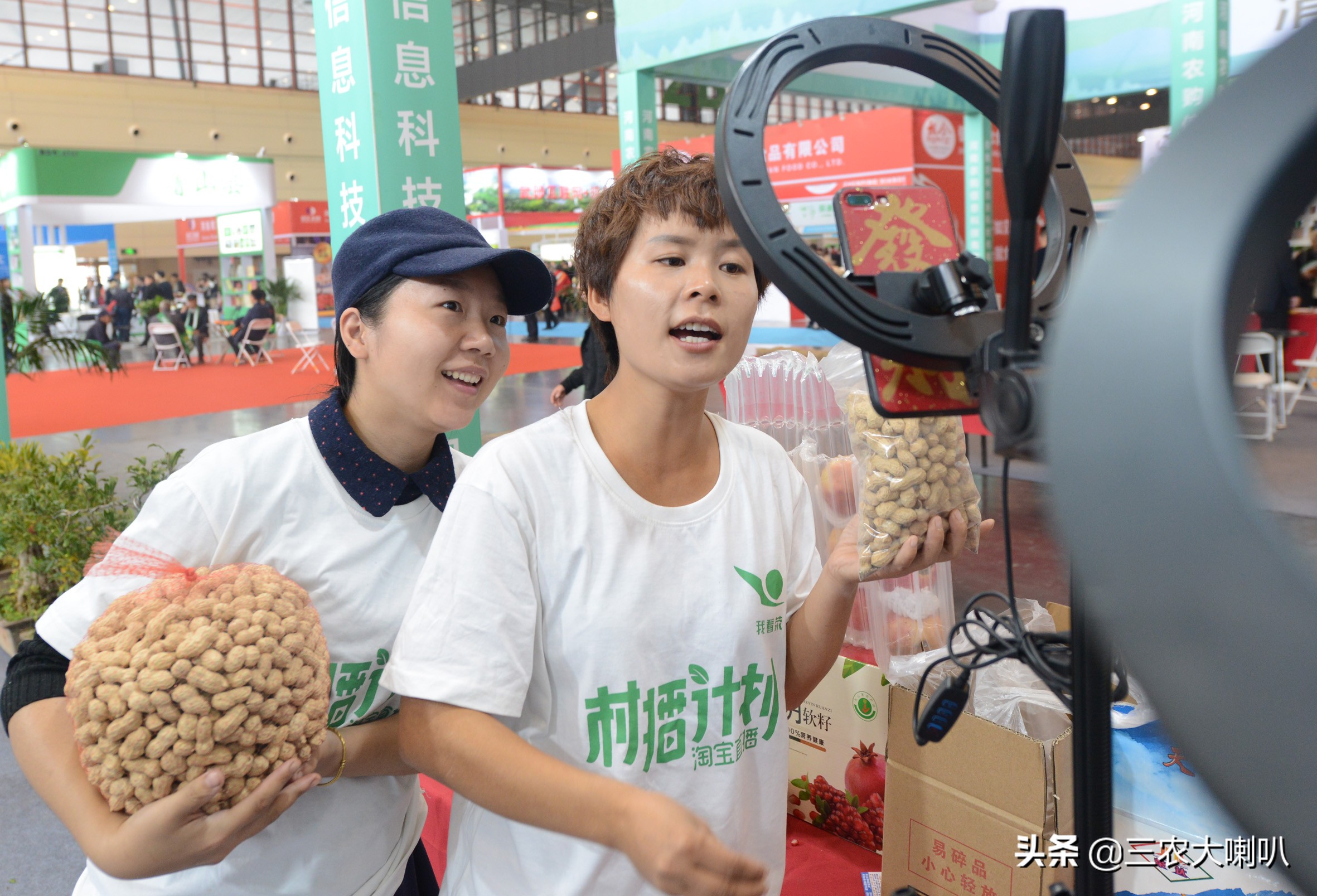 智能种菜机可种哪些植物,苹果盆栽种植