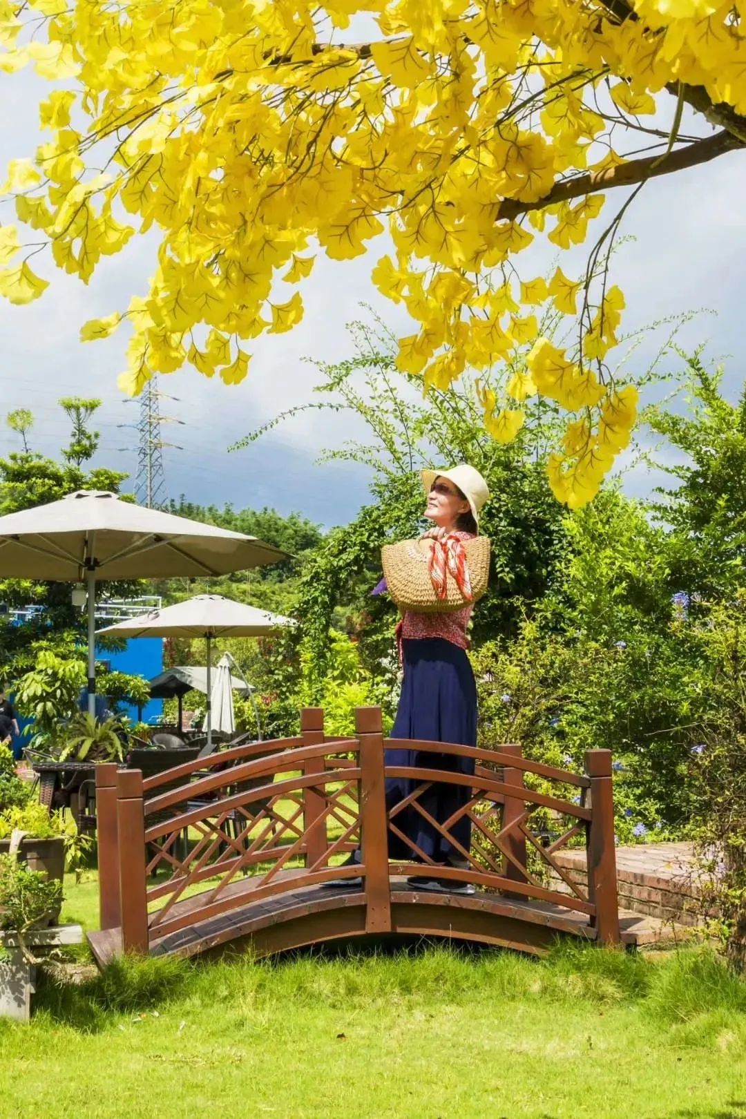 广州周边游增城民宿,广州增城旅游民宿推荐